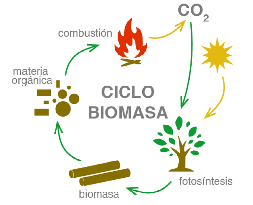 Tecnología de Gasificación para la extracción de Biogás de la Biomasa