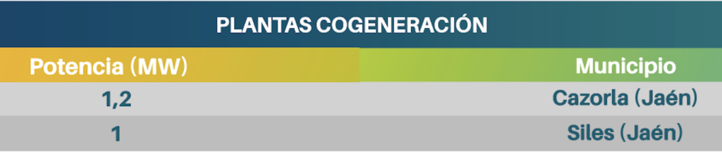 Proyecto Cogeneración Biomasa